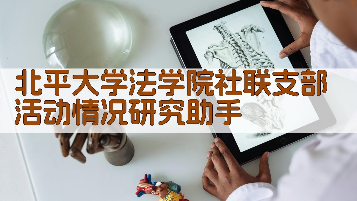 北平大学法学院社联支部活动情况研究助手