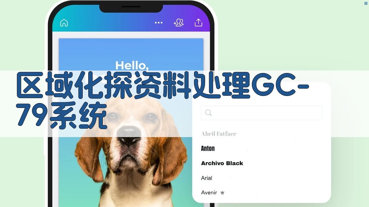 区域化探资料处理GC-79系统