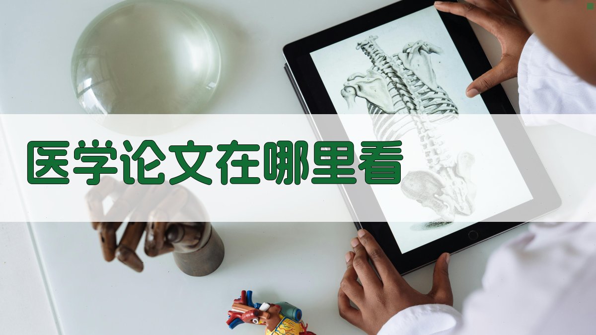 AI医学论文查找助手