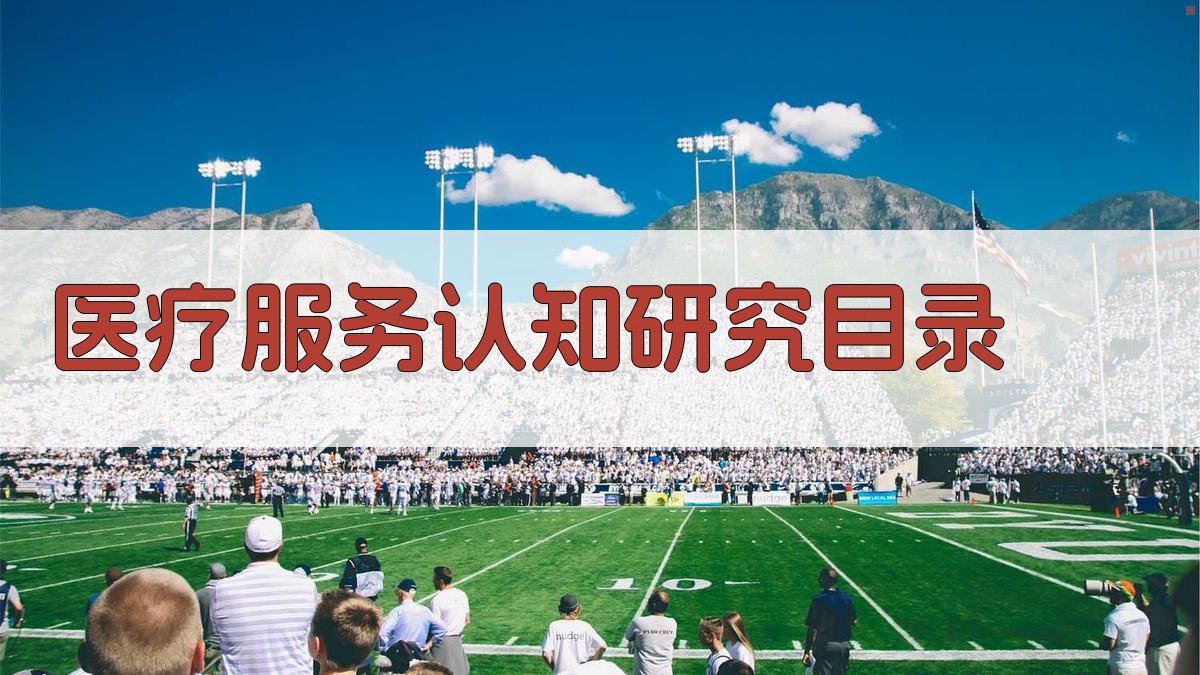 AI医疗服务认知研究目录生成器