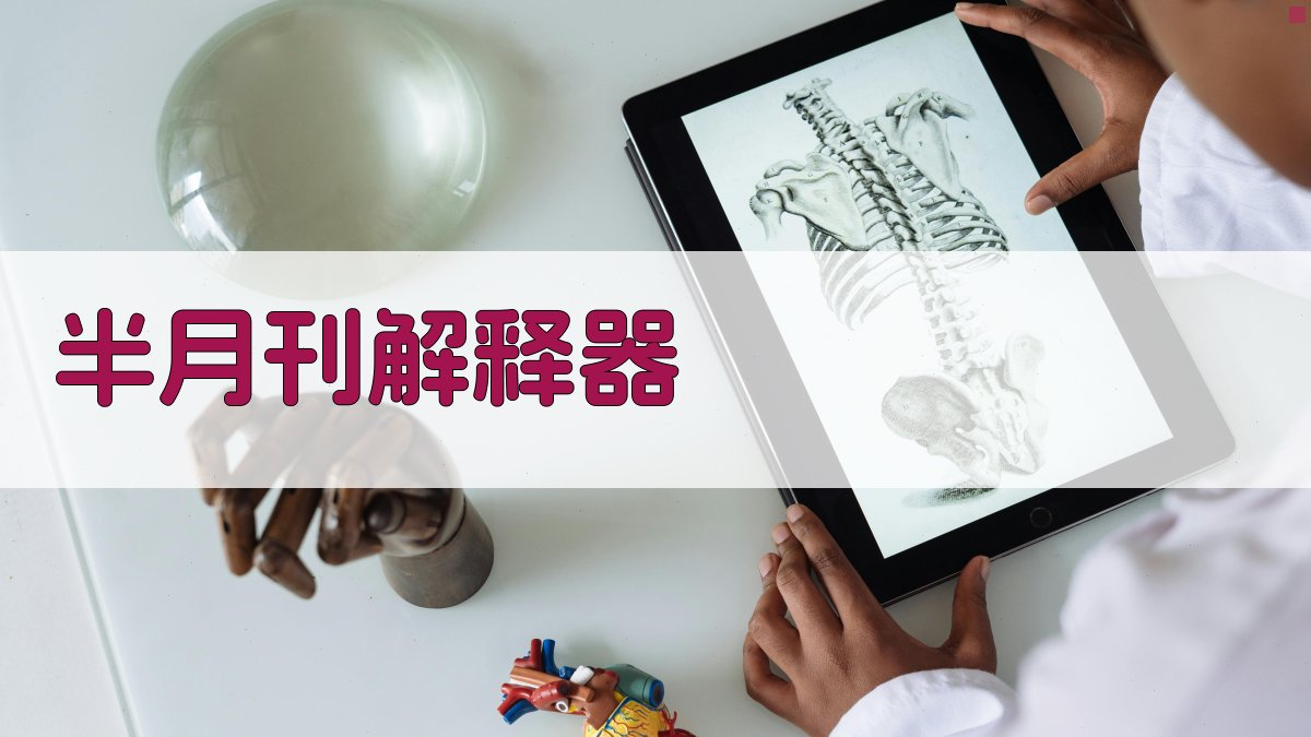 AI智能半月刊解释器