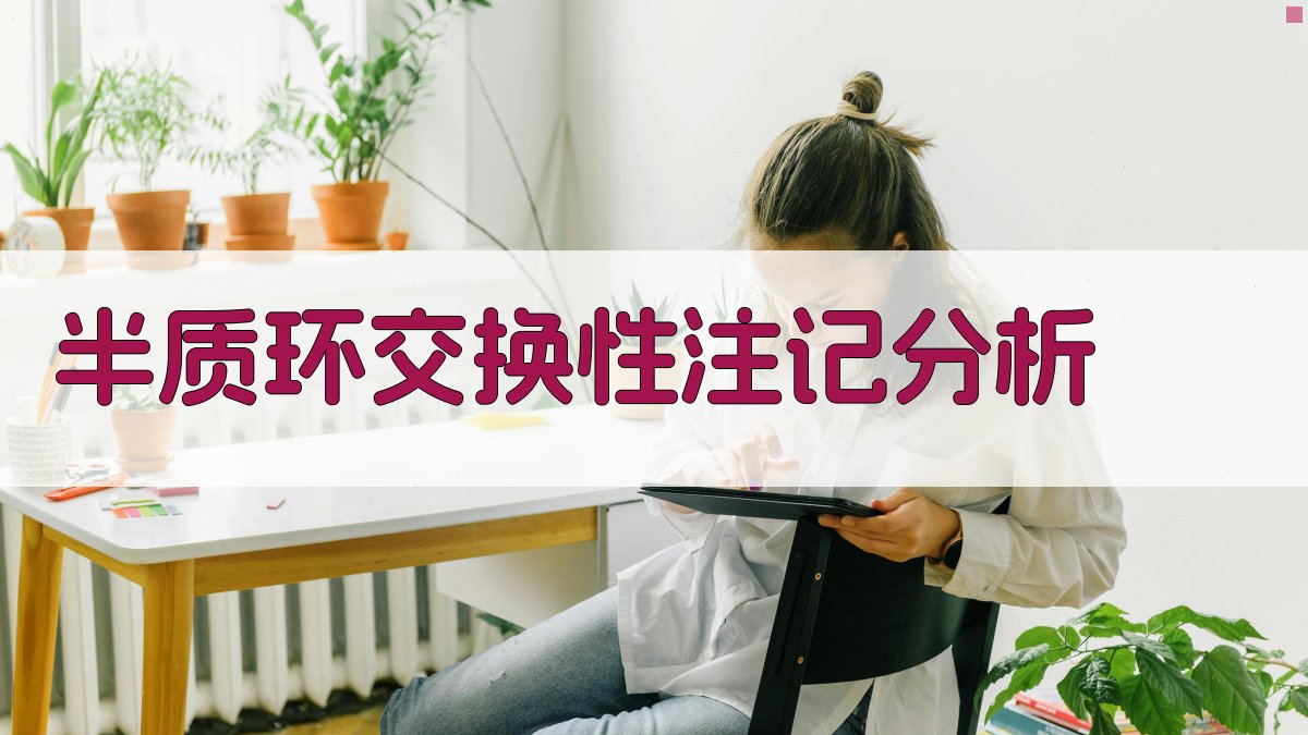 AI半质环交换性注记分析工具