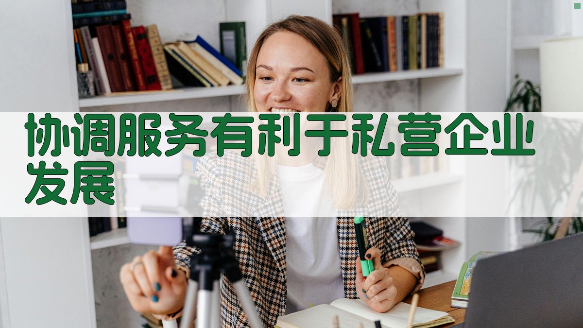 协调服务有利于私营企业发展