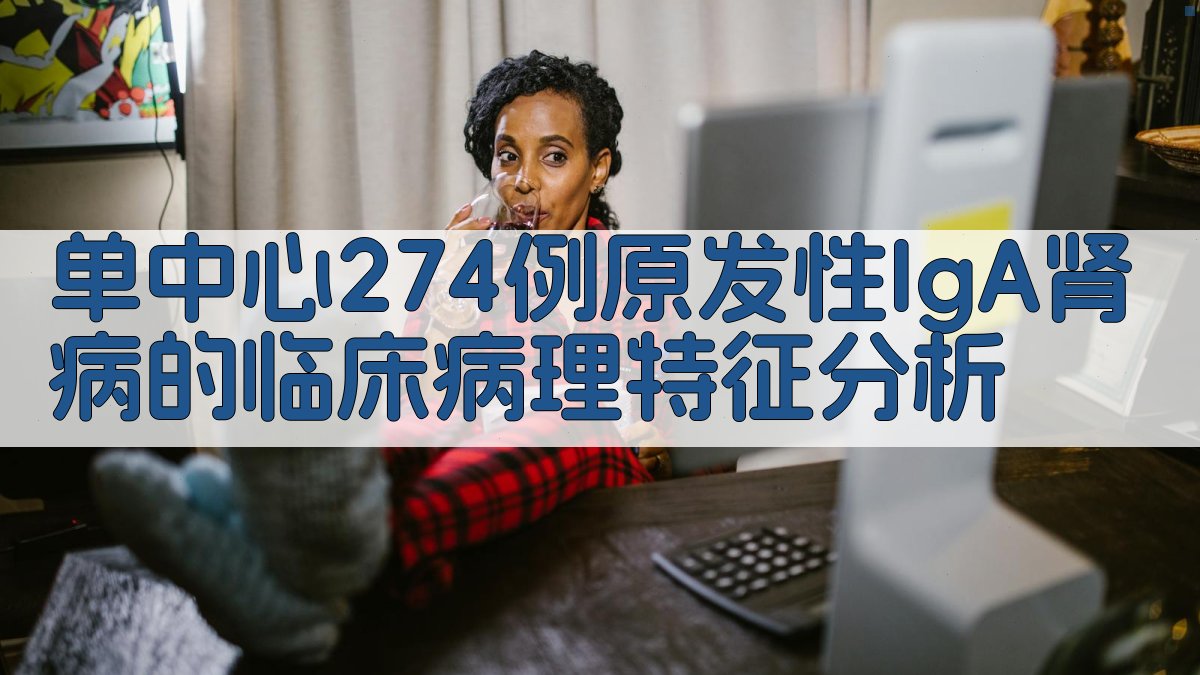 IgA肾病分析工具