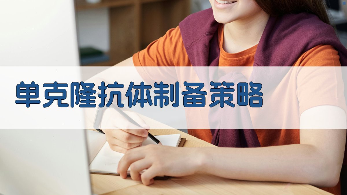 AI单克隆抗体制备策略分析