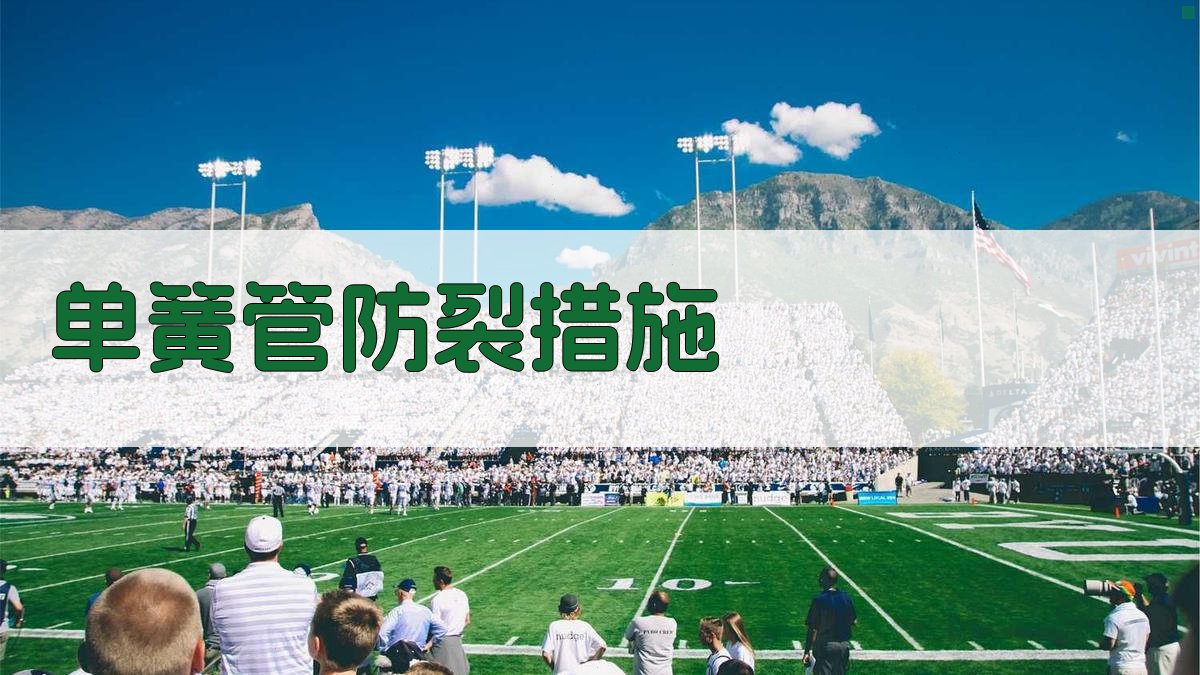 AI单簧管防裂方案生成