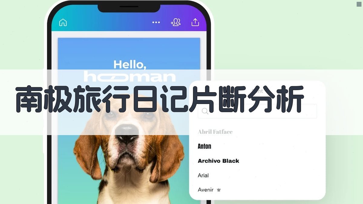 南极旅行日记片断分析