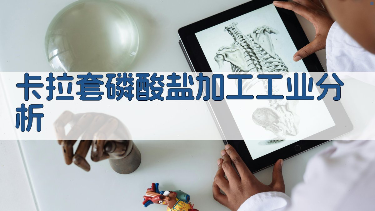 卡拉套磷酸盐加工工业分析