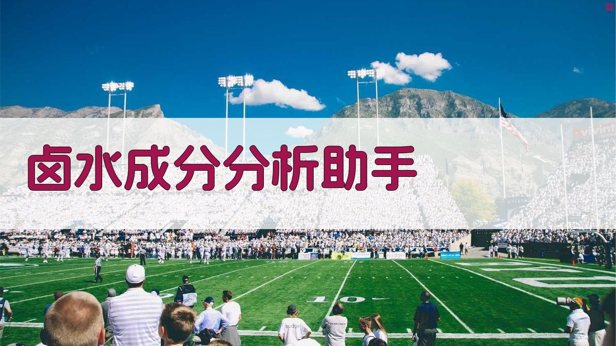 卤水成分分析助手