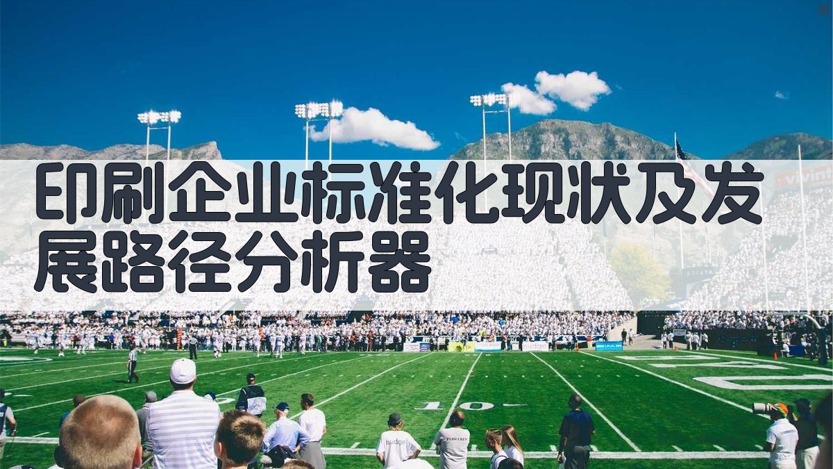 AI印刷企业标准化现状及发展路径分析器