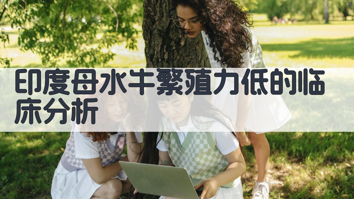 印度母水牛繁殖力低的临床分析