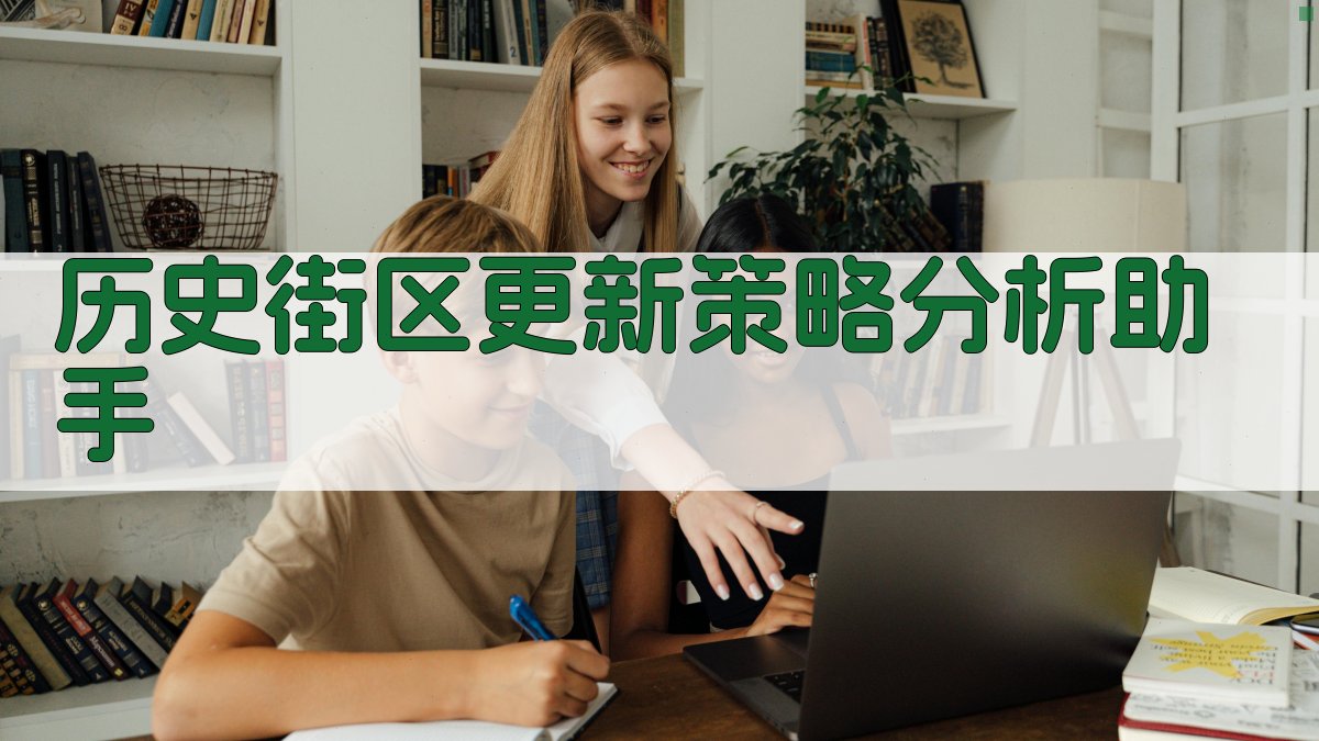 历史街区更新策略分析助手
