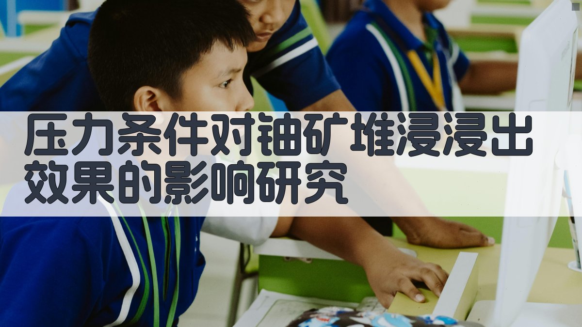 压力条件对铀矿堆浸浸出效果研究助手