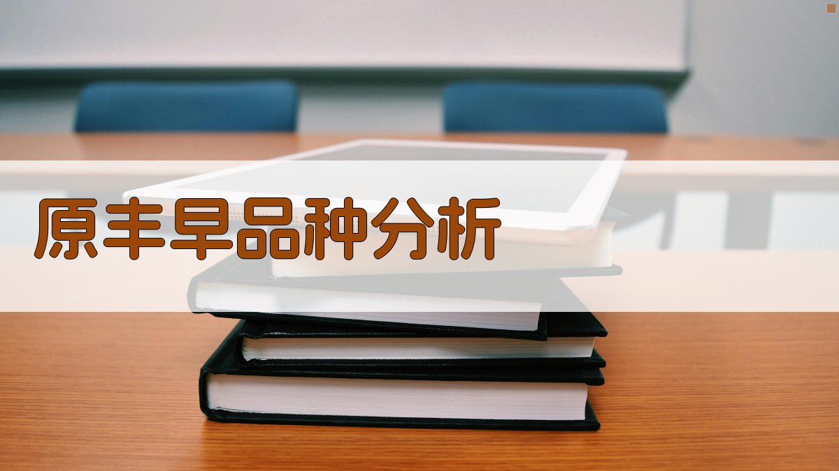 早籼新品种“原丰早”分析