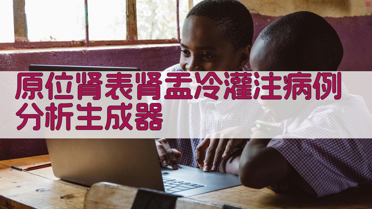 原位肾表肾盂冷灌注病例分析生成器