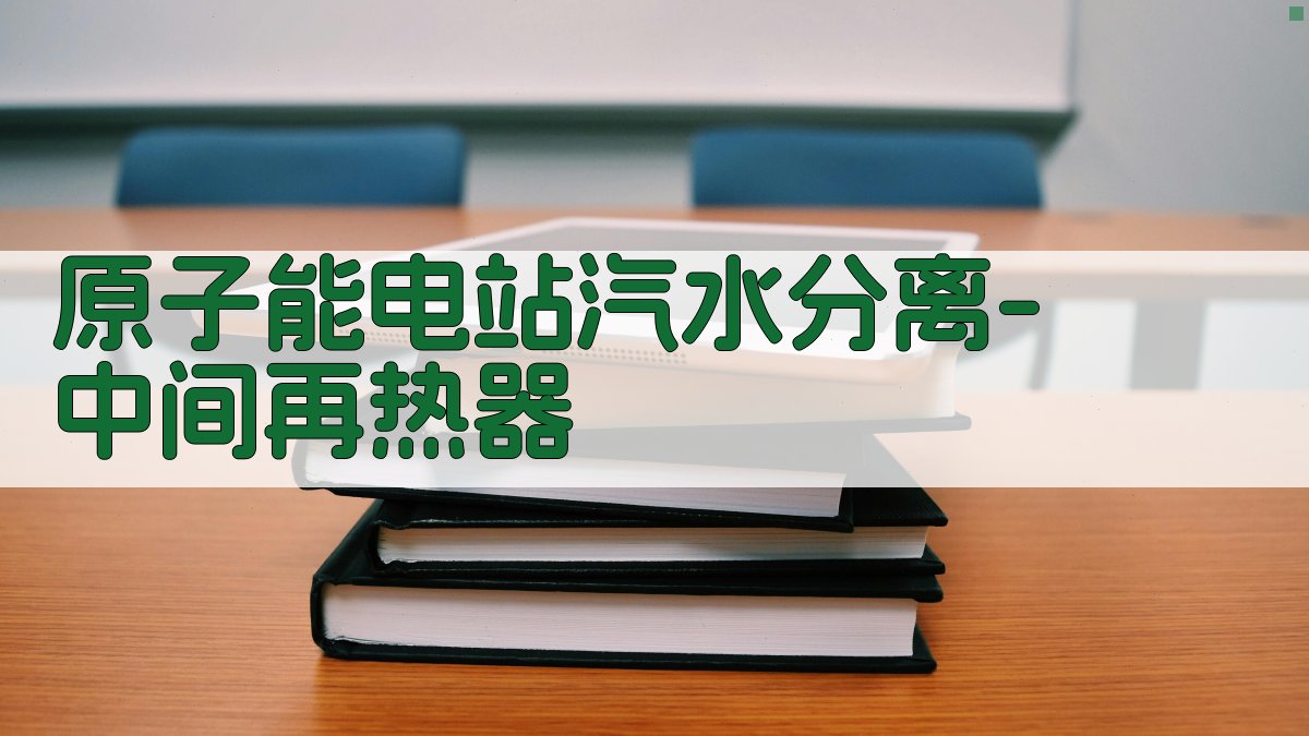 原子能电站汽水分离-中间再热器