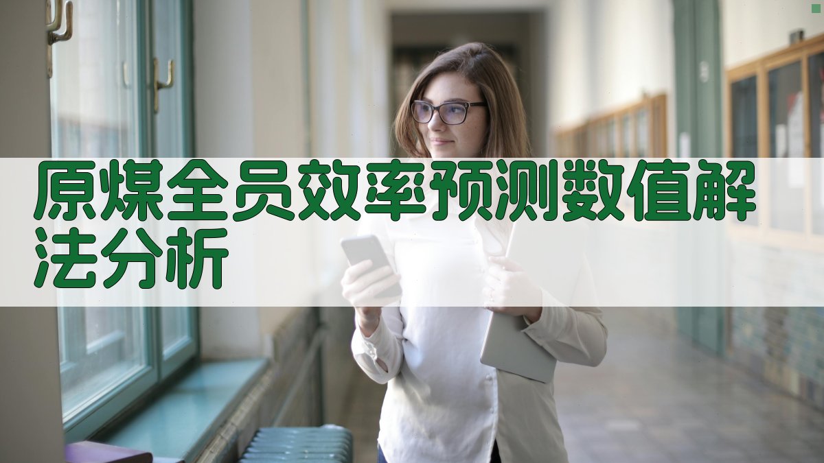 原煤全员效率预测数值解法分析