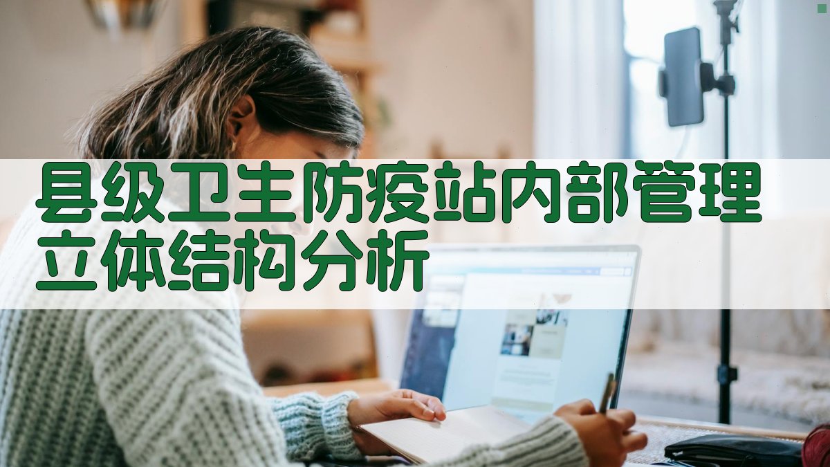 县级卫生防疫站内部管理立体结构分析