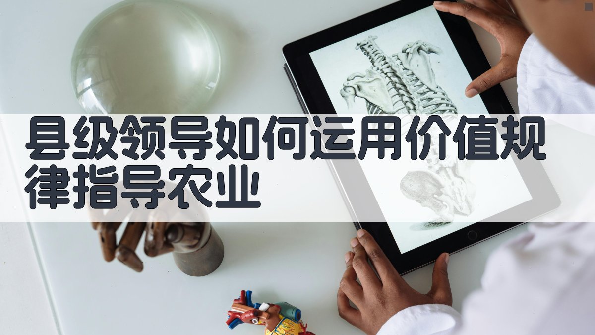 县级领导如何运用价值规律指导农业