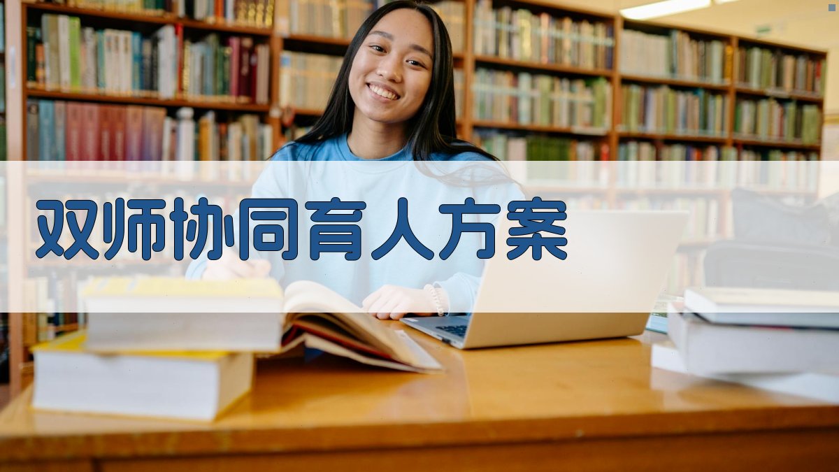 双师协同育人方案