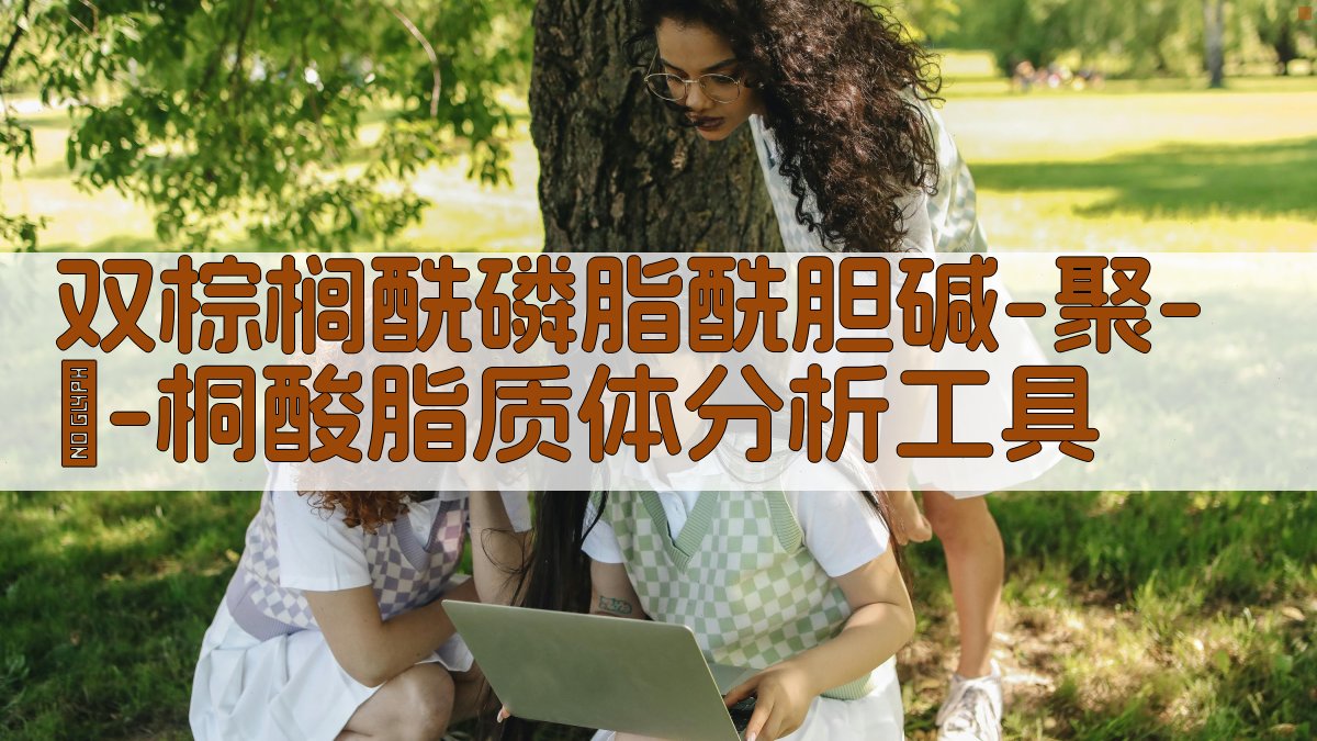 双棕榈酰磷脂酰胆碱-聚-α-桐酸脂质体分析工具