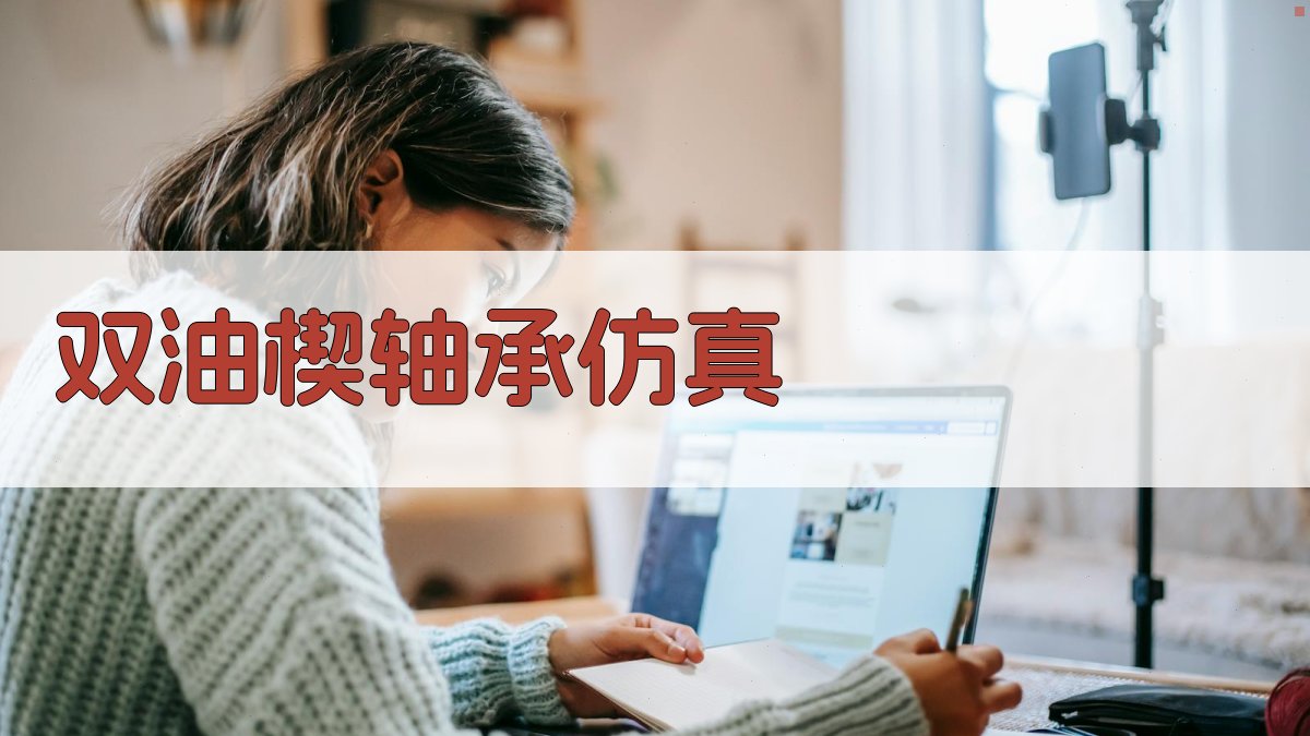 双油楔轴承仿真工具