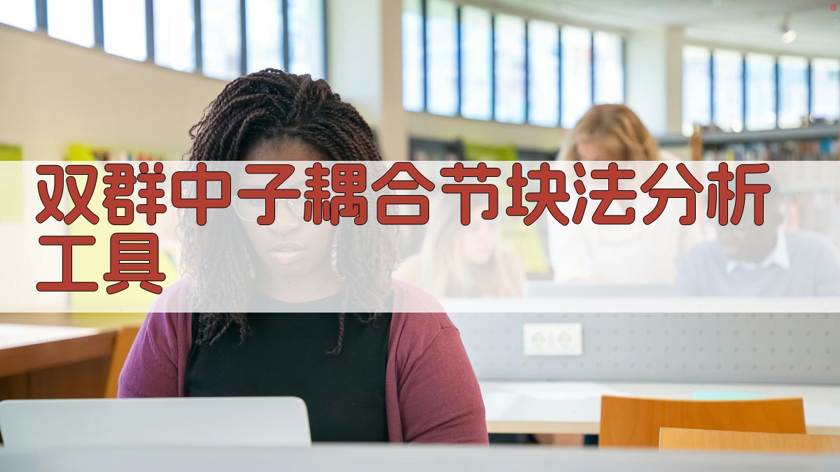 双群中子耦合节块法分析工具