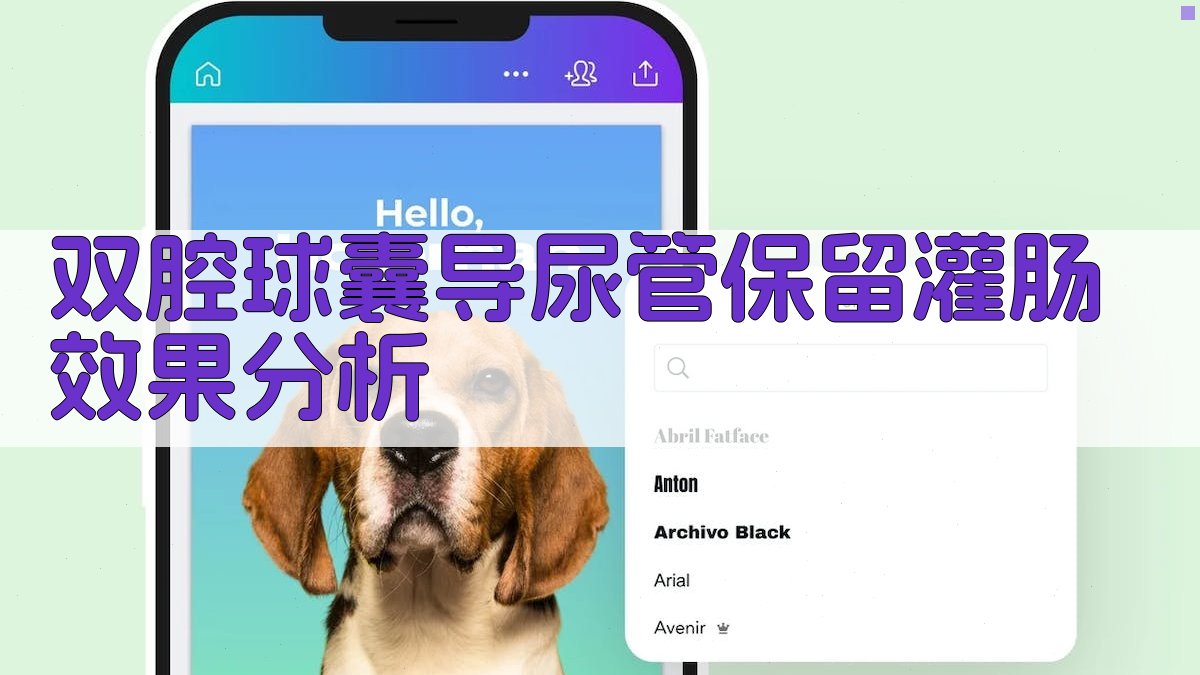AI双腔球囊导尿管应用效果分析工具
