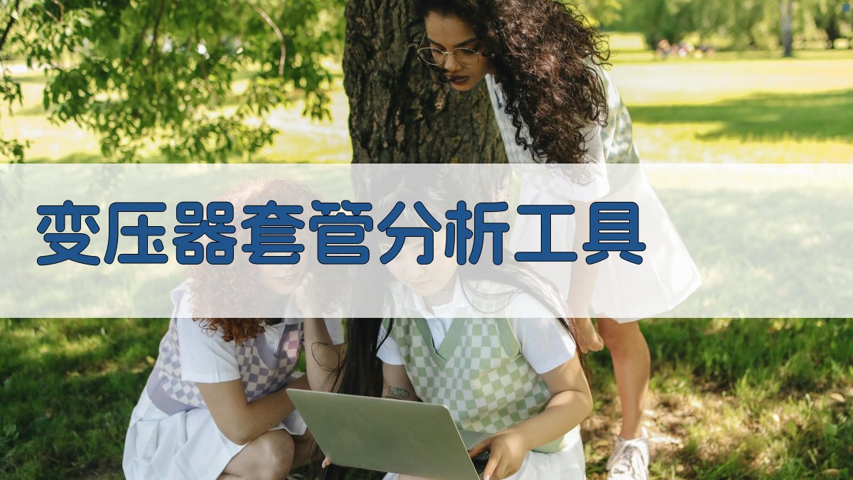 AI变压器套管分析工具