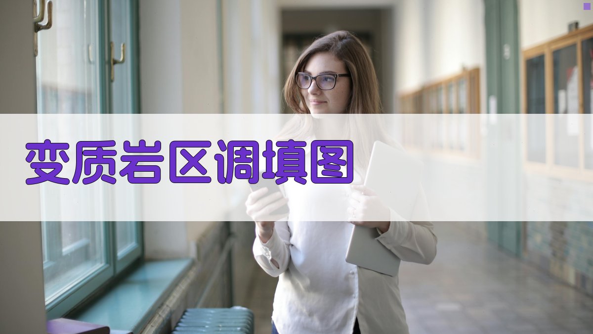 变质岩区调填图