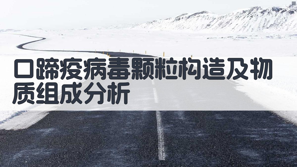 口蹄疫病毒颗粒构造及物质组成分析