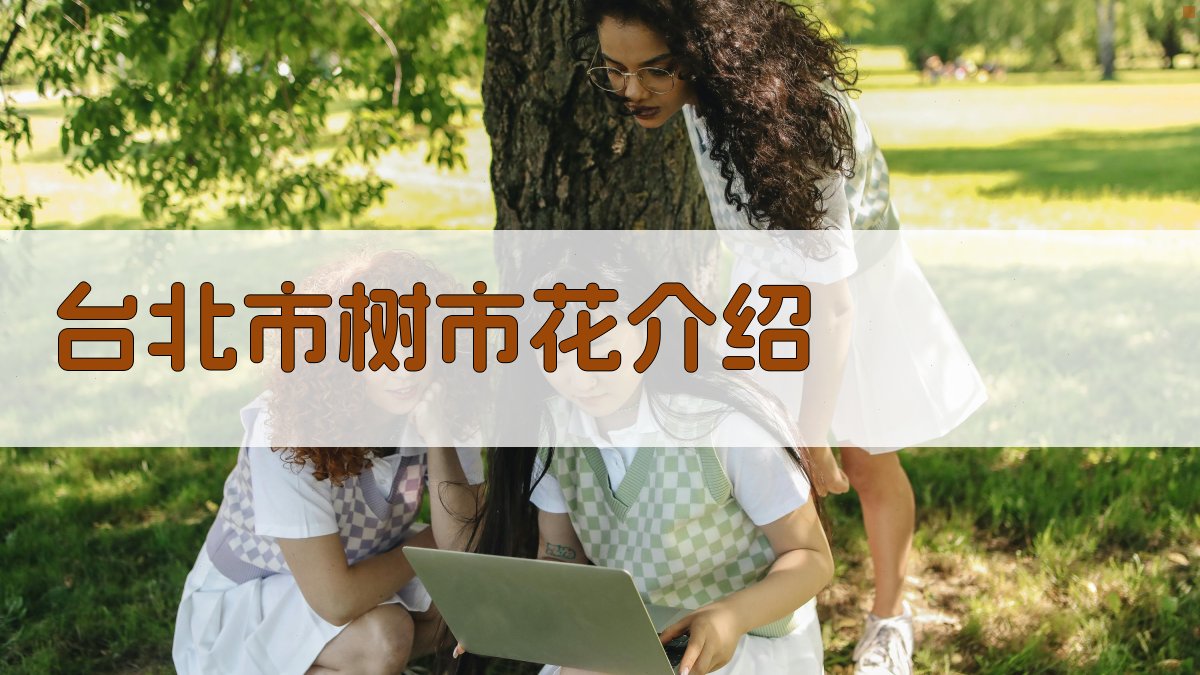 AI一键生成台北市树市花介绍