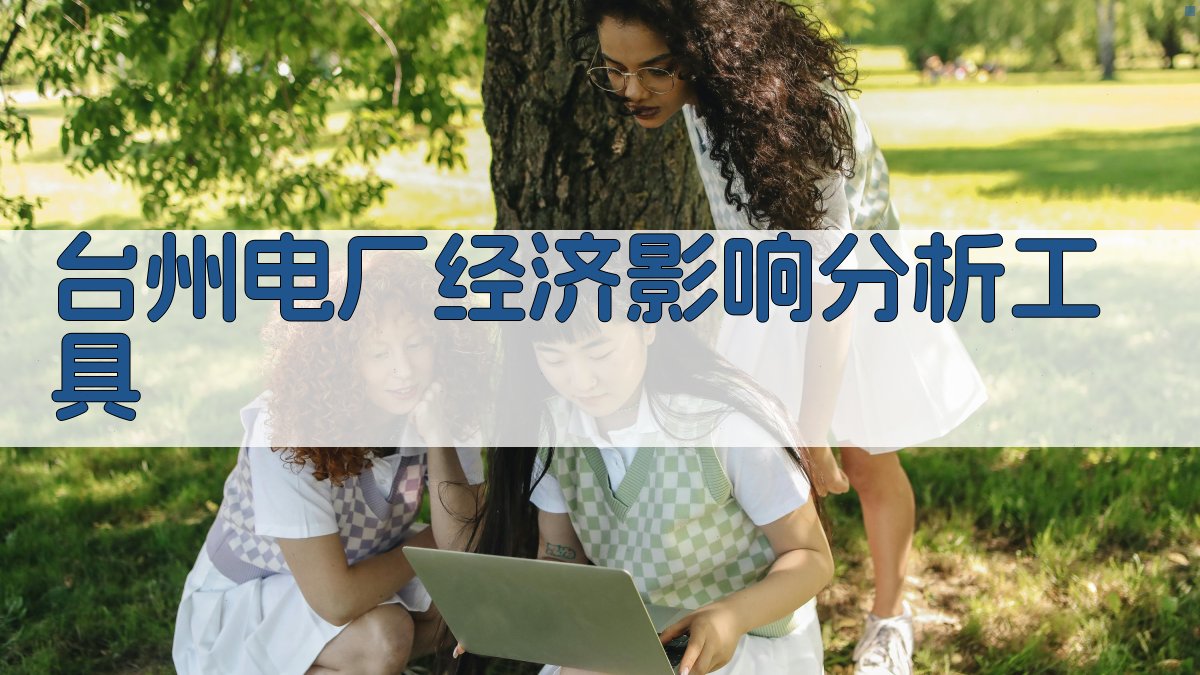 台州电厂经济影响分析工具