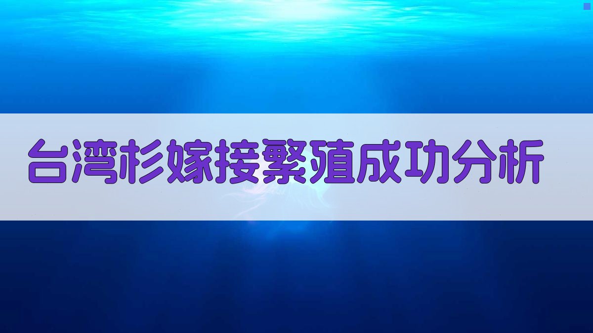 台湾杉嫁接繁殖成功分析