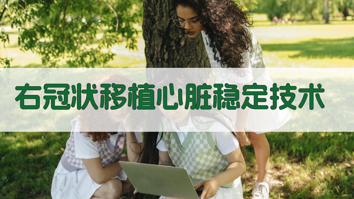 AI右冠状移植心脏稳定技术分析