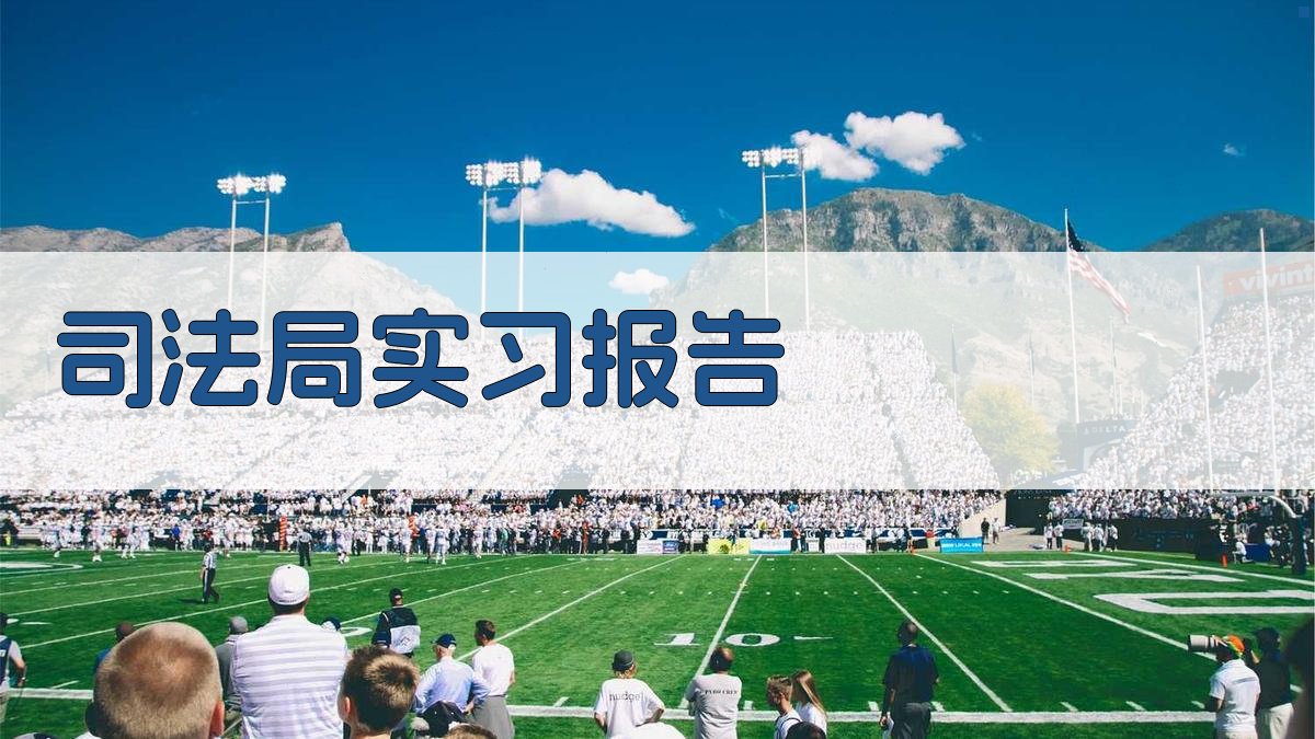 司法局实习报告生成器