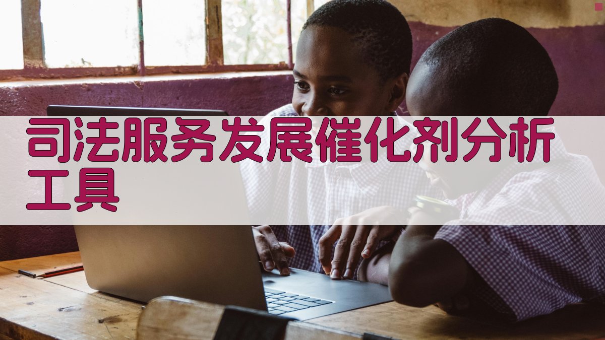 司法服务发展催化剂分析工具