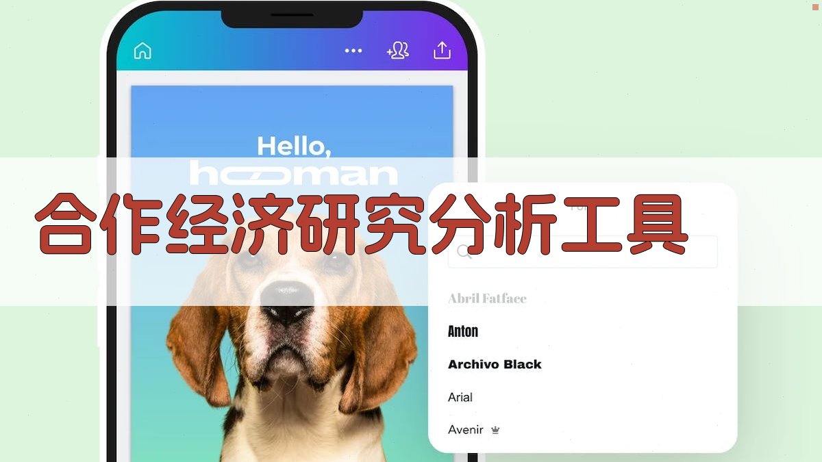 合作经济研究分析工具