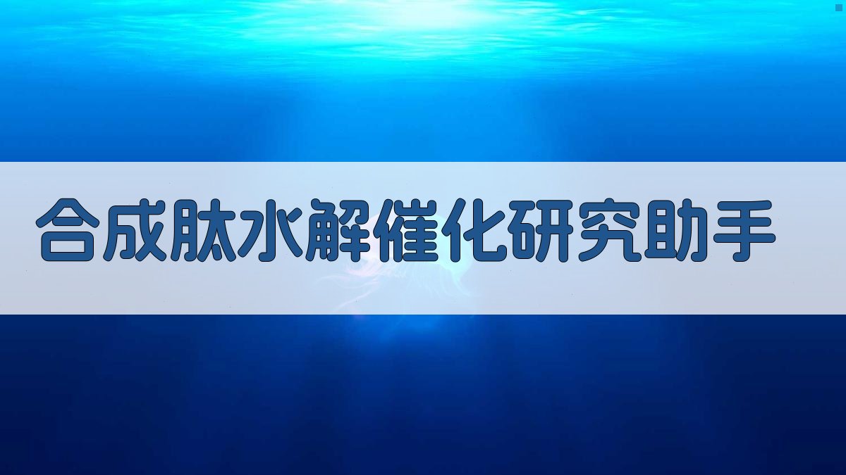 合成肽水解催化研究助手