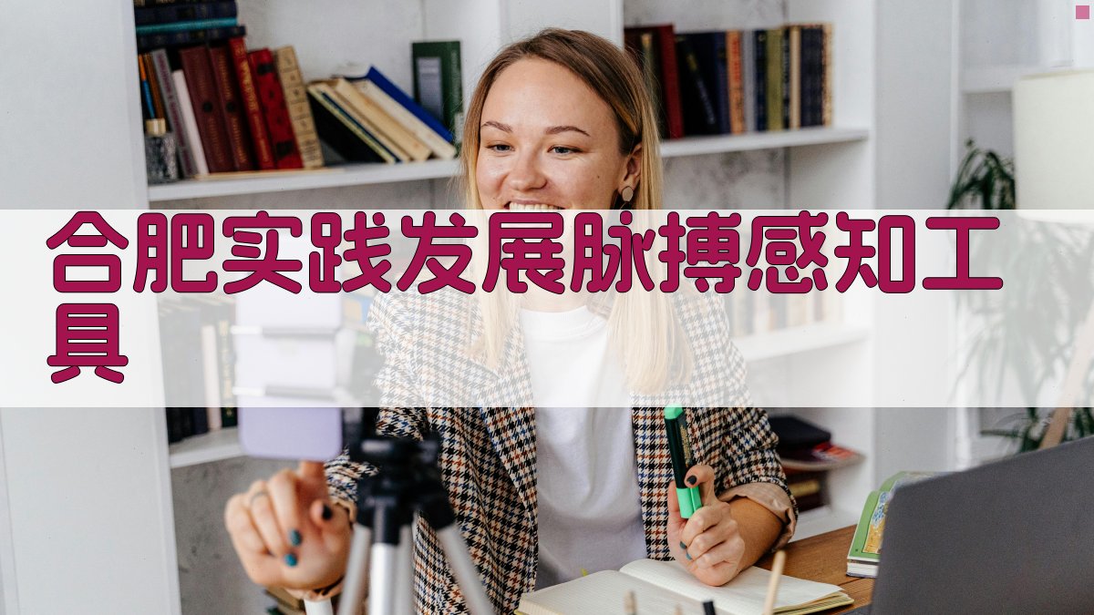 合肥实践发展脉搏感知工具