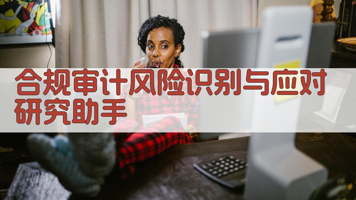 合规审计风险识别与应对研究助手