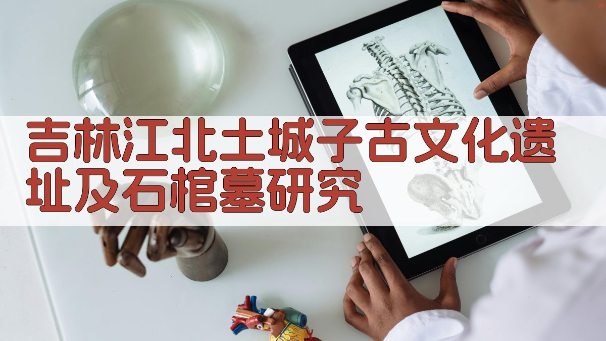 吉林江北土城子古文化遗址及石棺墓研究