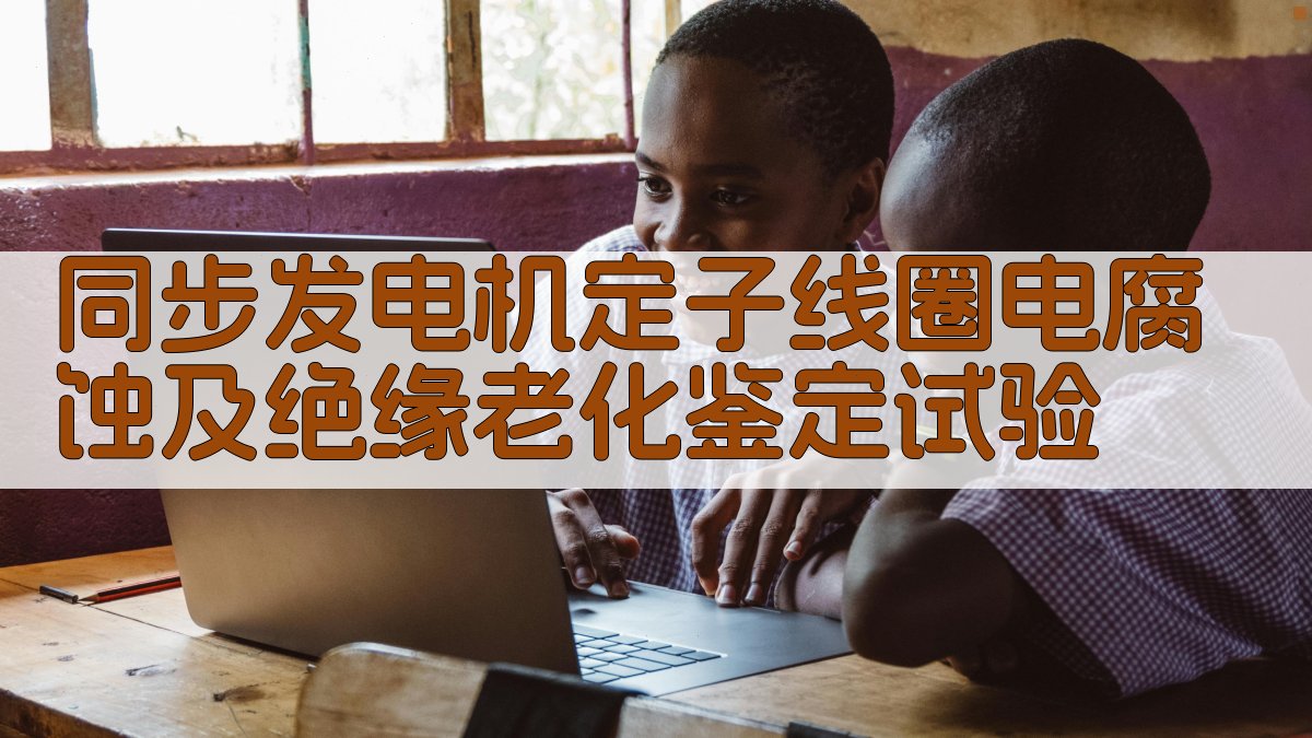 同步发电机定子线圈电腐蚀及绝缘老化鉴定试验