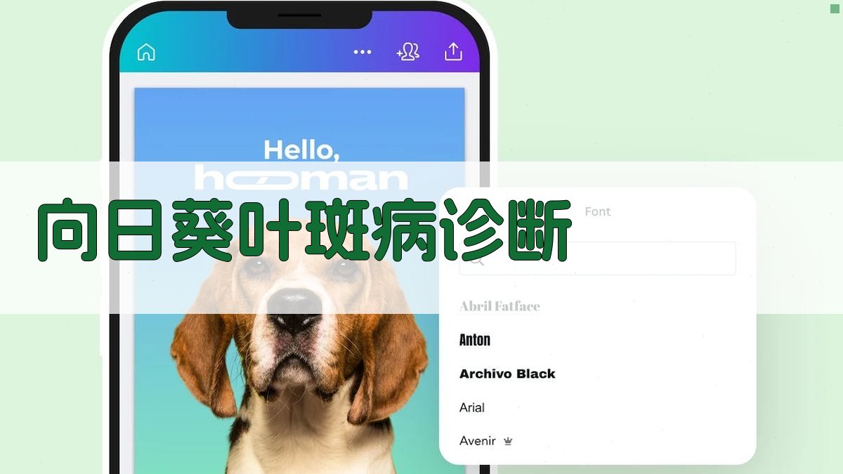 AI智能向日葵叶斑病诊断