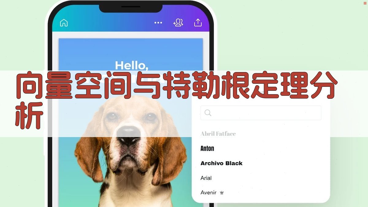 向量空间与特勒根定理分析