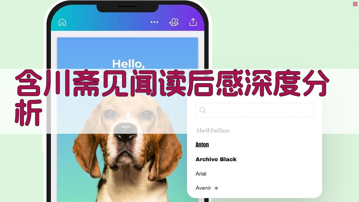 含川斋见闻读后感深度分析