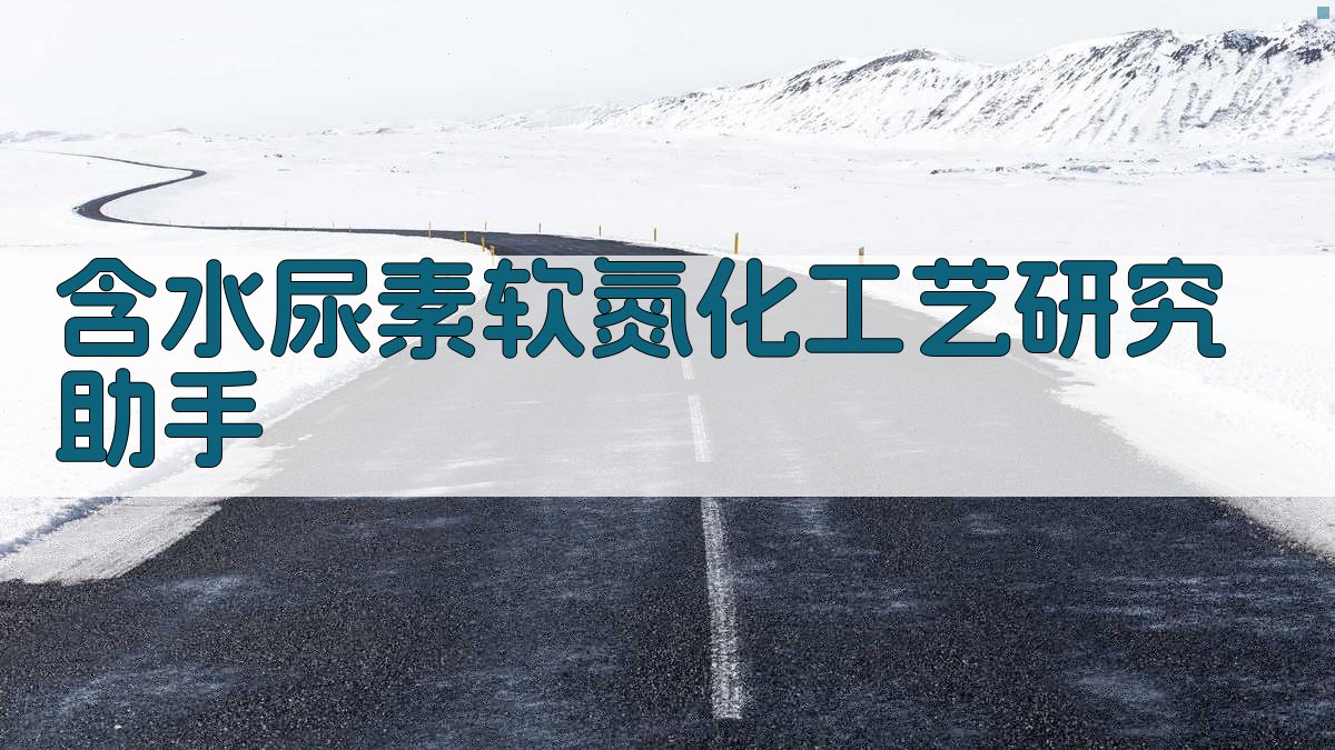 含水尿素软氮化工艺研究助手