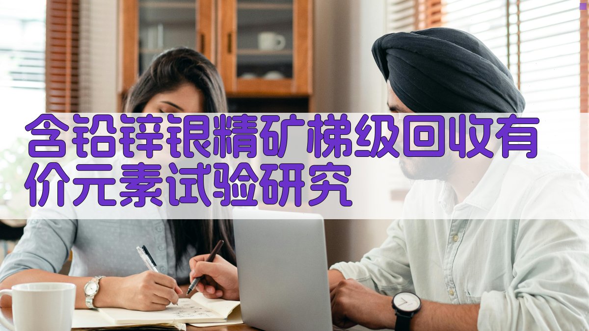 含铅锌银精矿梯级回收分析助手