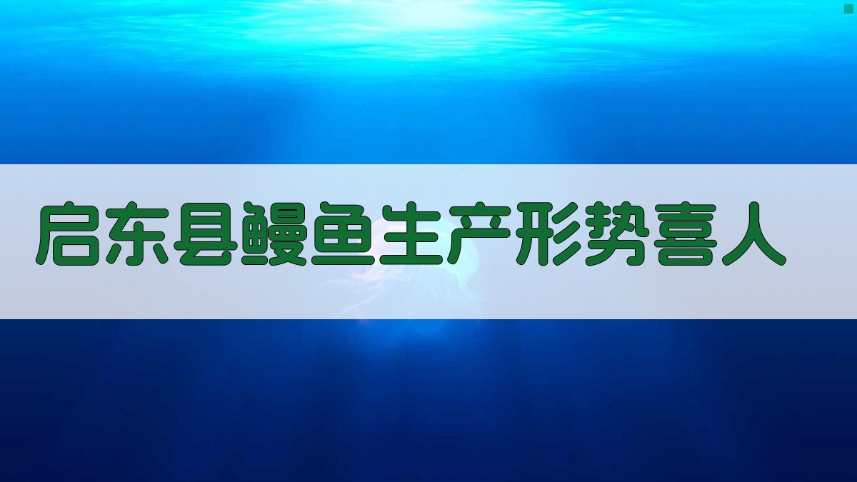 AI启东县鳗鱼生产形势洞察