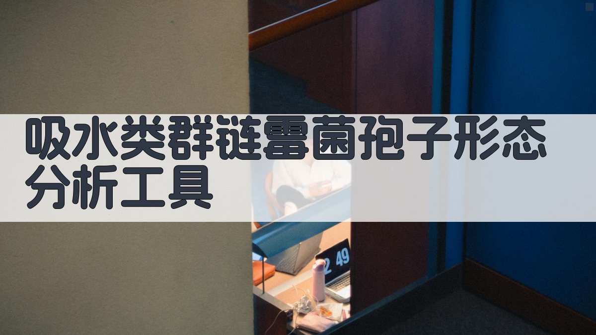 吸水类群链霉菌孢子形态分析工具